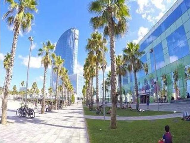 Ático Alquiler Barcelona Capital, La Vila Olímpica del Poblenou