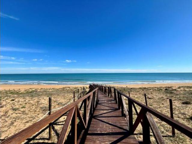 Ático Alquiler Guardamar del Segura, Guardamar Playa