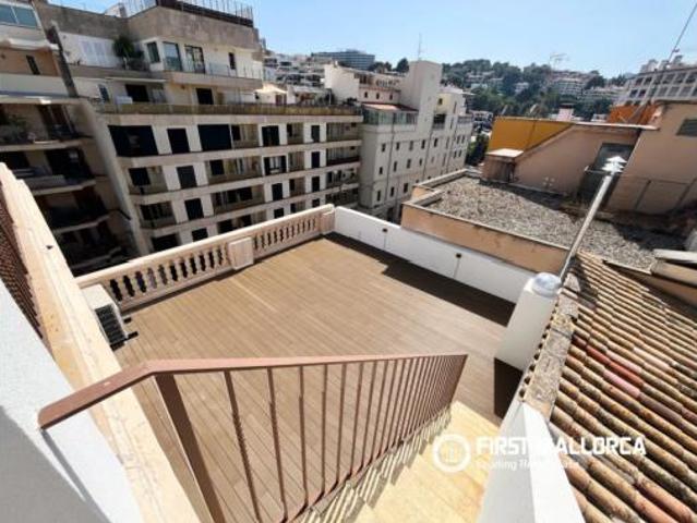Ático Alquiler Palma de Mallorca, El Terreno