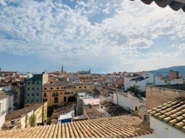 Ático Alquiler Palma de Mallorca, El Sindicat