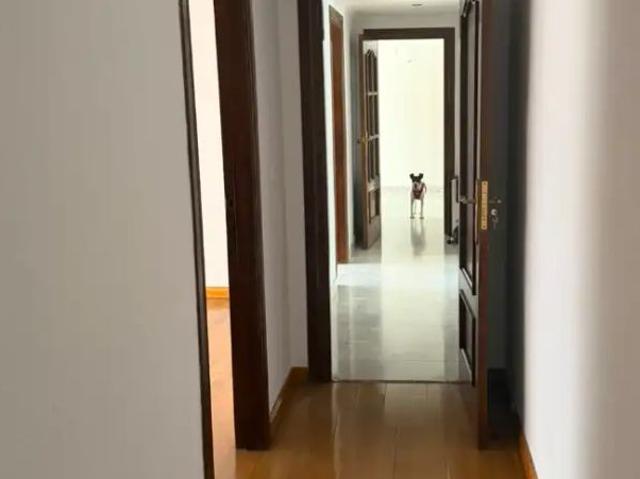 Ático con balcón en alquiler en Centro Sagrario