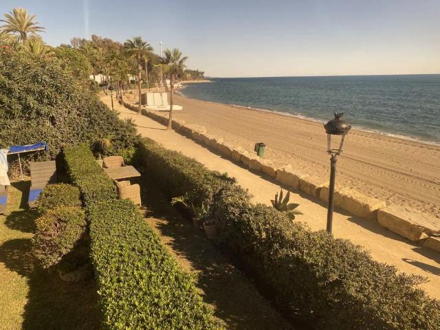 Ático con piscina en alquiler en VILLA PARRA PALOMERAS 1