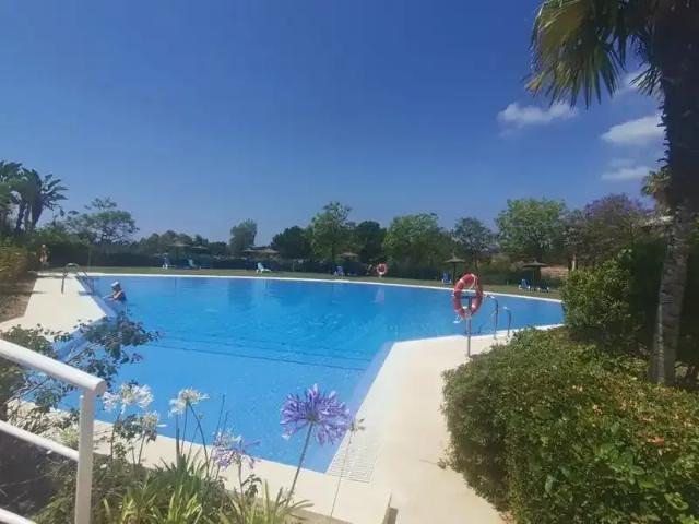 Ático con piscina en alquiler en Los Flamingos