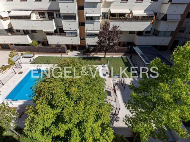 Ático con piscina en alquiler en Moncloa Aravaca
