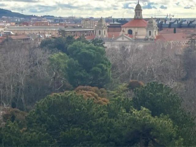 Ático de alquiler en Paseo de Zorrilla, 8, Campo Grande, Valladolid Capital