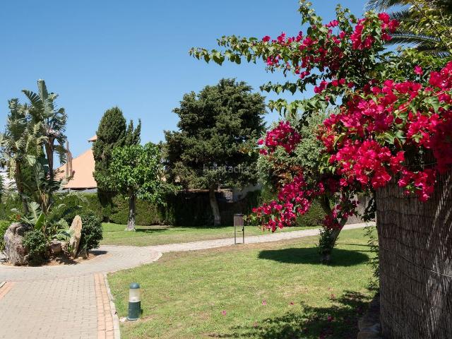 Ático en venta en Zahara de los Atunes, Atlanterra. Áticos Zahara de los.