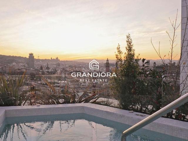 Ático en venta en Barcelona, Barceloneta. Atico en Ciutat Vella con una terraza magnifica. Áticos.