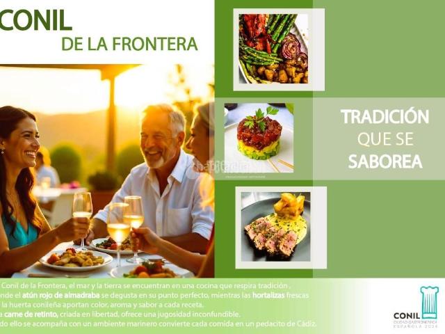 Ático en venta en Conil de la Frontera, Conil. Ático en venta en Conil de la frontera. Áticos Conil de la.