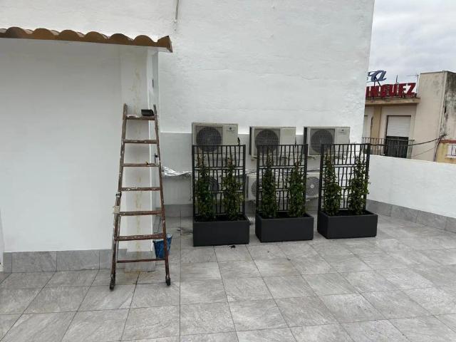 Ático en alquiler en Centro Doña Mercedes