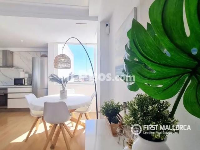 Ático en alquiler en Palma de Mallorca