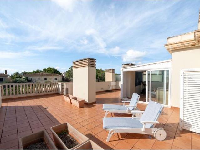 Ático exclusivo con vistas panorámicas, gran terraza y acceso directo al Bosque de Bellver