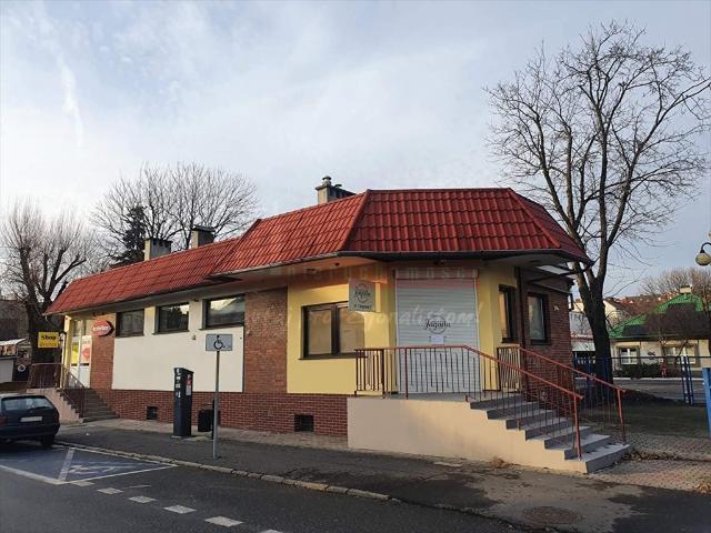 Atrakcyjny lokal handlowo usługowy w centrum Opola