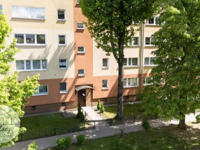 Atrakcyjne 1 pokój z oddzielną kuchnią, piwnicą