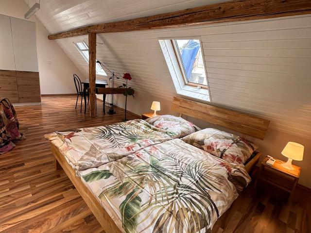 Attention! Google photos are not up to date, the neighboring house is finished. Enjoy the harbor view!, Wiesbaden Amsterdam Apartments for Rent