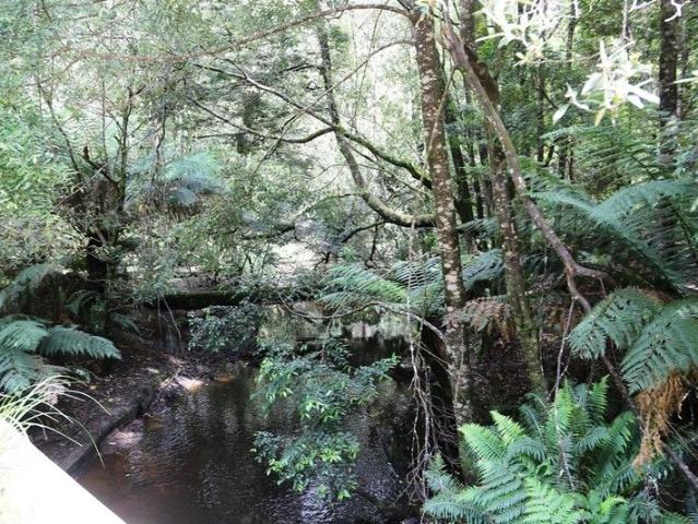 Attention! Hidden Bush Block Gem 25.08 HA