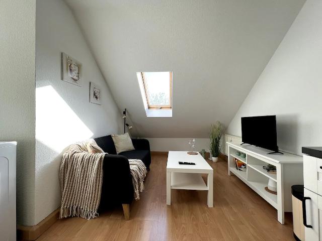 Attic apartment in the beautiful Waldstraßenviertel, Leipzig Amsterdam Apartments for Rent