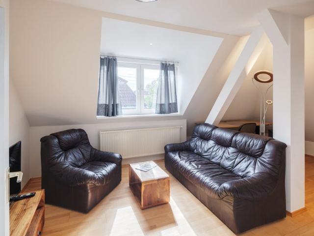 Attic apartment with two roof terraces