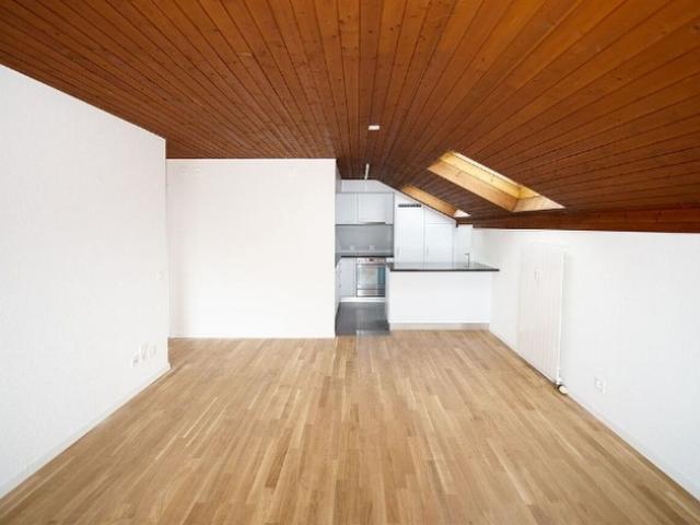 Attic apartment with charm