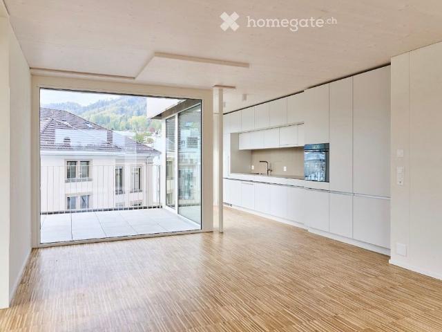 Attic flat in Adliswil with a splendid view of the Sihl River