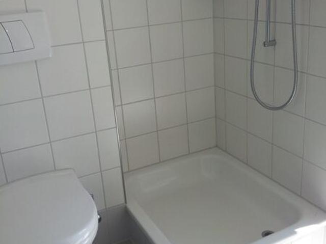 Attic flat with 5.5 rooms for rent in Eglisau 141 m² | dreamo. Ch