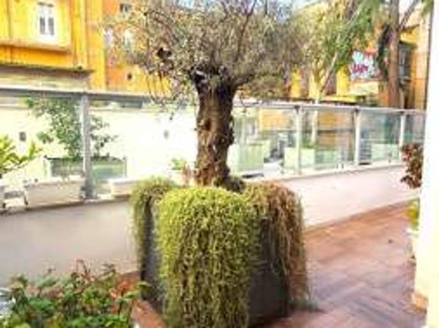 Attico arredato con terrazzo Bari