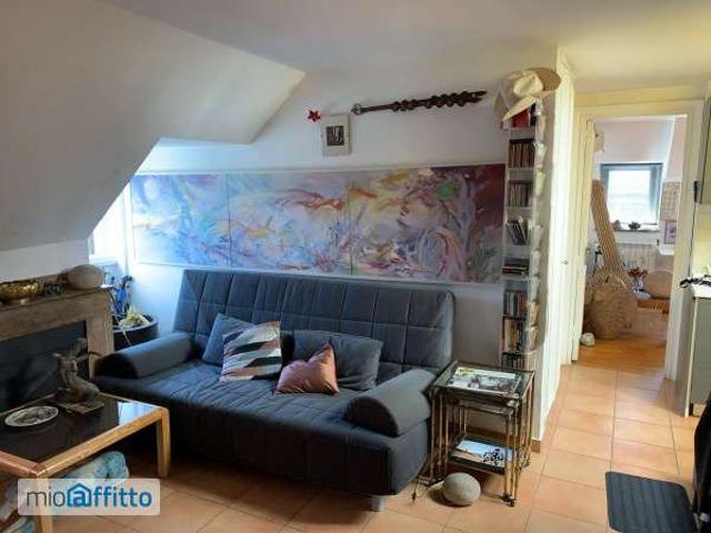Attico arredato con terrazzo Flaminio, fleming, vigna clara, camilluccia