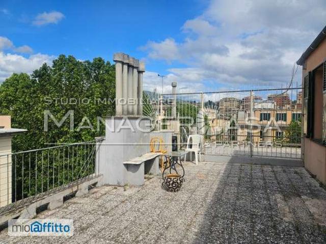 Attico arredato con terrazzo Foce