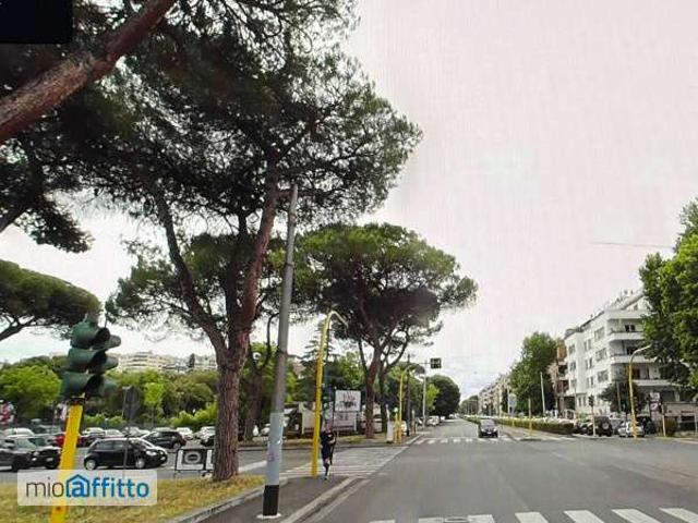 Attico arredato con terrazzo Parioli, pinciano