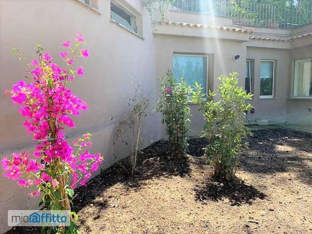 Attico arredato con terrazzo Parioli, pinciano