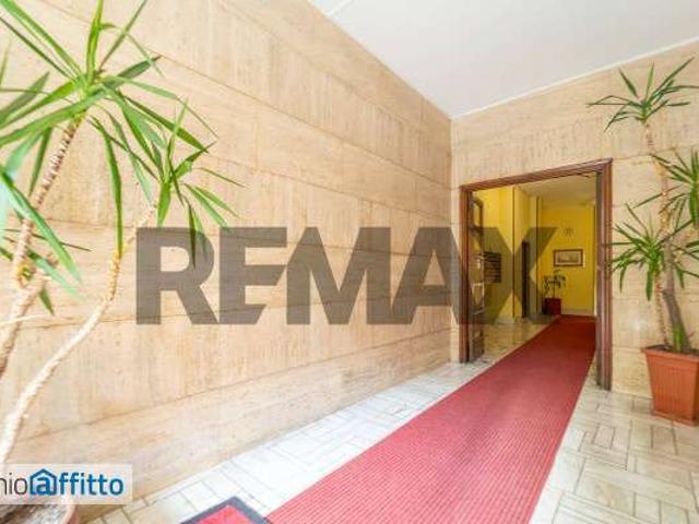 Attico arredato con terrazzo Trieste, salario
