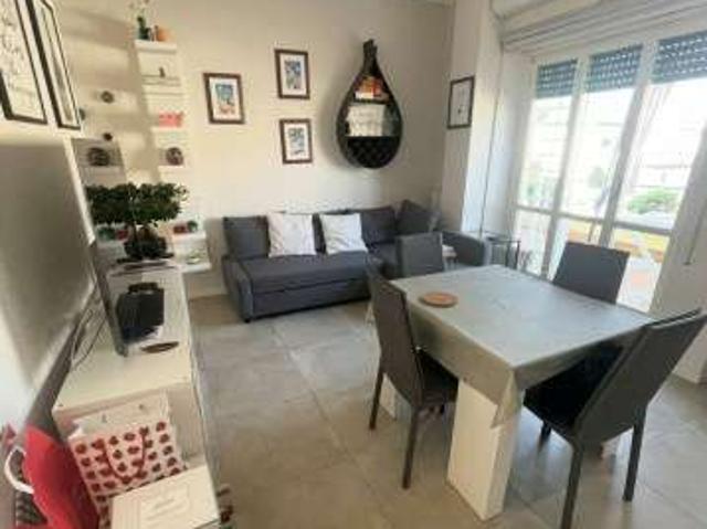 Attico arredato con terrazzo Trieste, salario