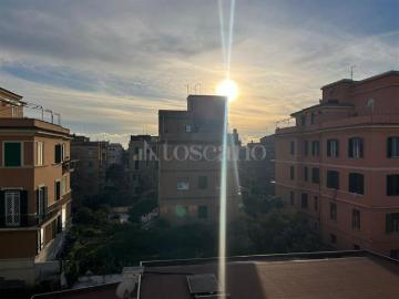 Lido di Roma, Roma Lazio, Lazio - Terrazzo