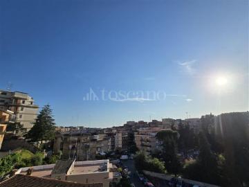 Via Francesco Maria Torrigio, Via Modesta Rossi Palletti, Palmarola Roma, Roma, Roma Lazio, Lazio