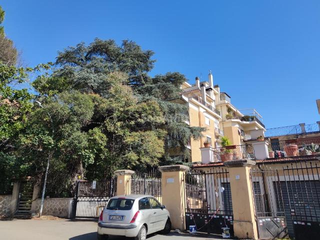 Attico in affitto a Roma