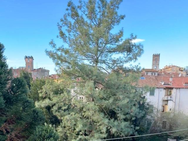 Attico in vendita a Lucca