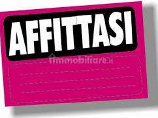 Attico ottimo stato, 200 m², Stazione Reggiane, Reggio Emilia