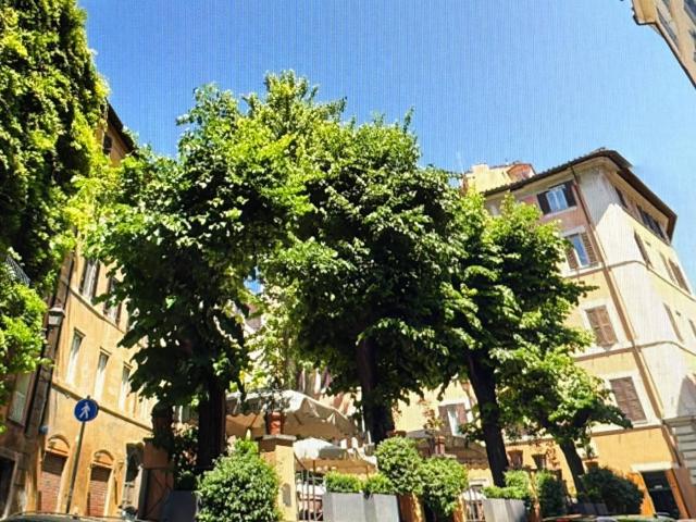 Attico Lungotevere Flaminio, Flaminio, Roma