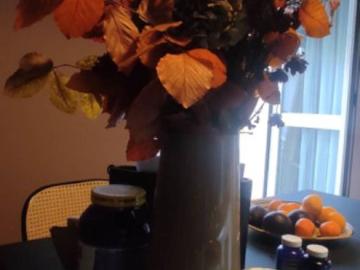 Zona 1, Milano, Milano Lombardia, Lombardia