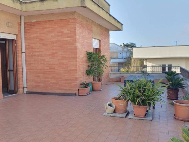 Attico / Mansarda in affitto a Nettuno RM
