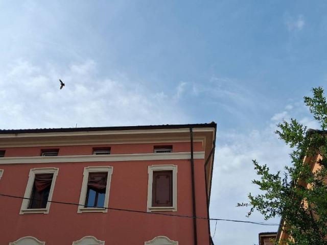 Attico / Mansarda in affitto a Valsamoggia BO