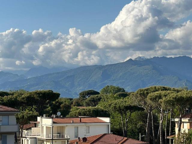 Attico / Mansarda in vendita a Camaiore LU