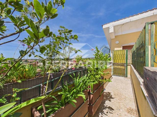 Attico / Mansarda in vendita a Cerveteri RM
