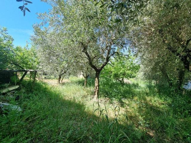 Attico / Mansarda in vendita a Foiano della Chiana AR
