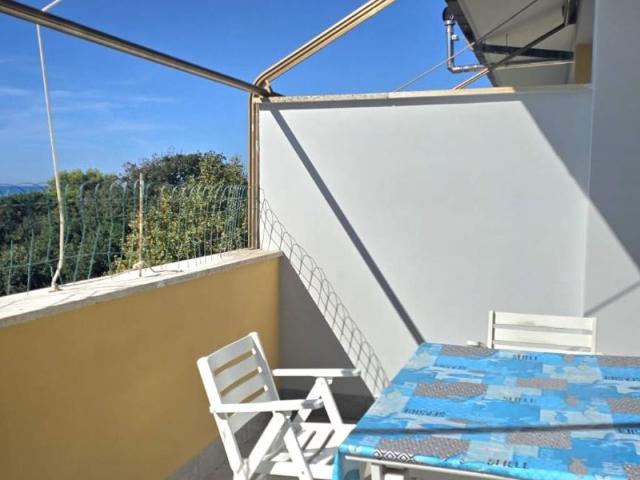 Appartamento in vendita a Ladispoli RM