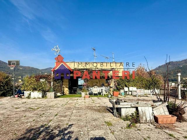 Attico / Mansarda in vendita a Pescia PT
