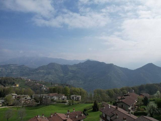 Attico / Mansarda in vendita a Roncola BG