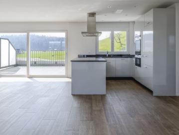 Attikawohnung mit 90 m2 Terrasse und Schlossblick