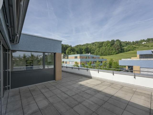 Attikawohnung mit 120 m² Terrasse und unverbautem Blick auf Wald und Weite