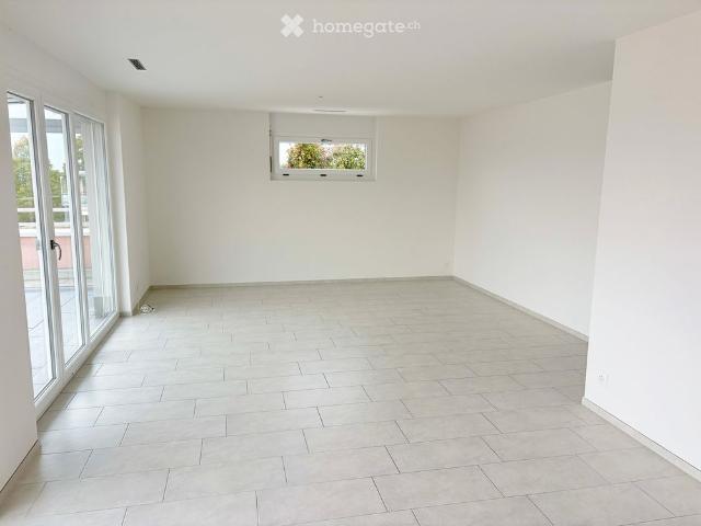 Attikawohnung mit grosser Terrasse in Hinwil
