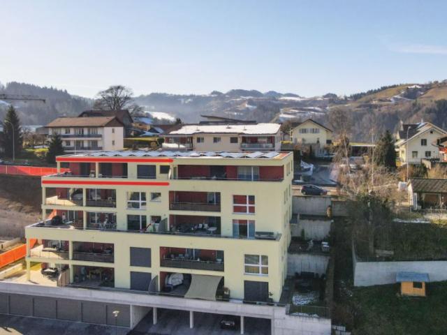 Attikawohnung mit grosser Terrasse